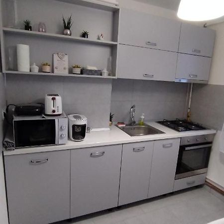 Ana Apartament Râmnicu Vâlcea Zewnętrze zdjęcie