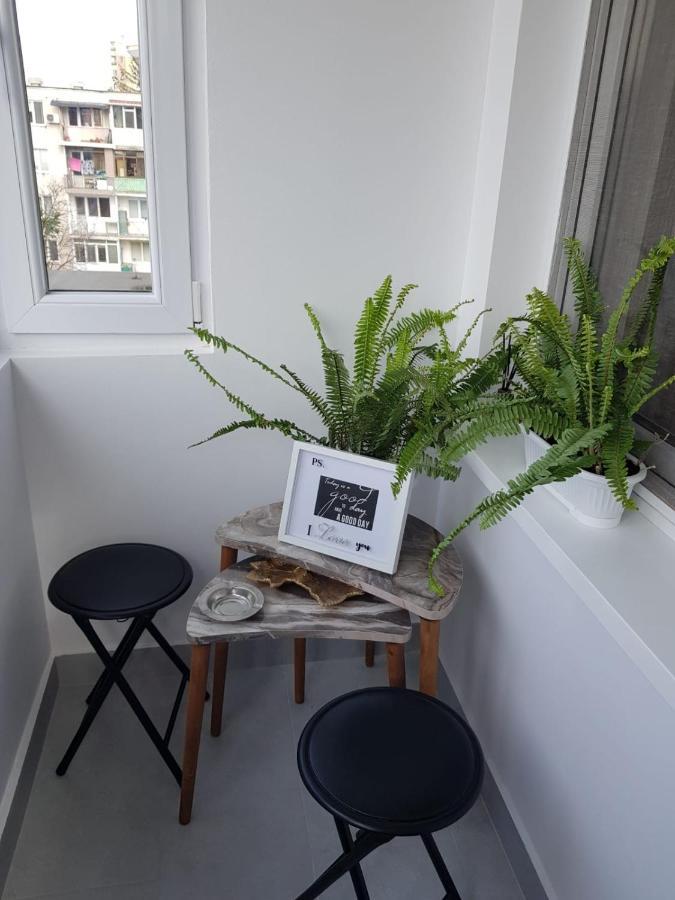 Ana Apartament Râmnicu Vâlcea Zewnętrze zdjęcie