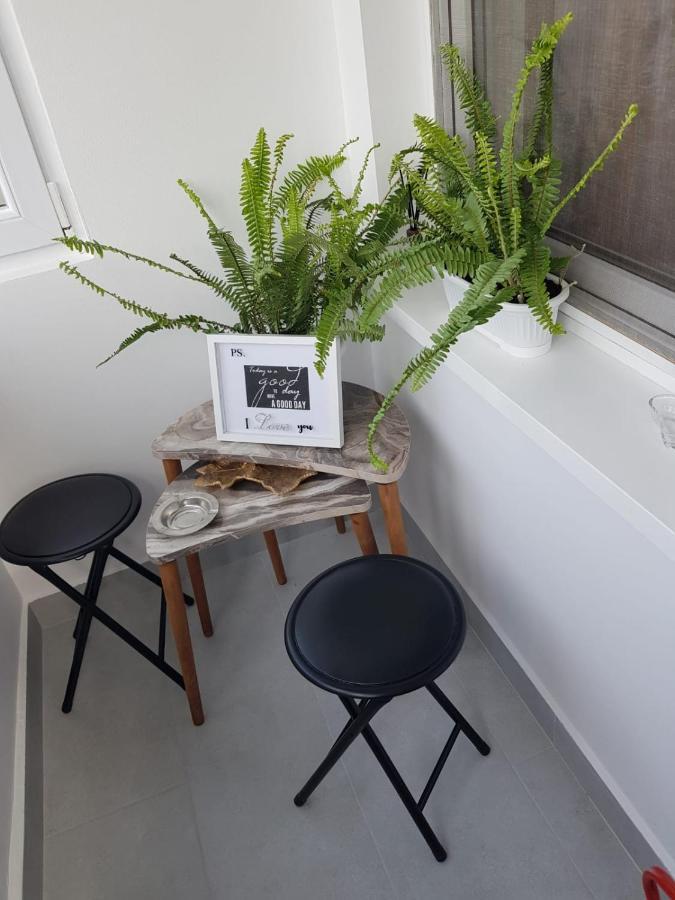 Ana Apartament Râmnicu Vâlcea Zewnętrze zdjęcie