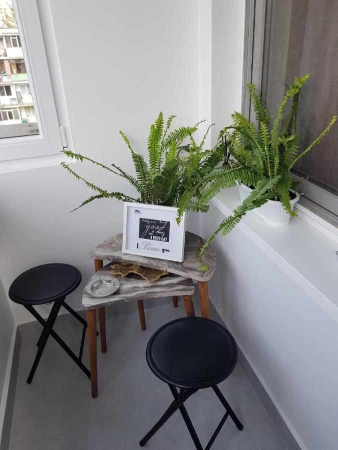 Ana Apartament Râmnicu Vâlcea Zewnętrze zdjęcie