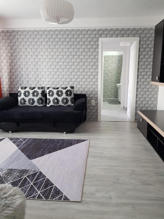 Ana Apartament Râmnicu Vâlcea Zewnętrze zdjęcie