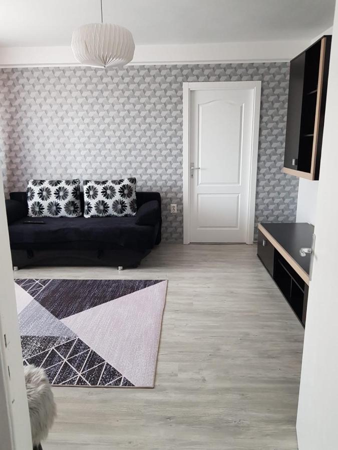 Ana Apartament Râmnicu Vâlcea Zewnętrze zdjęcie