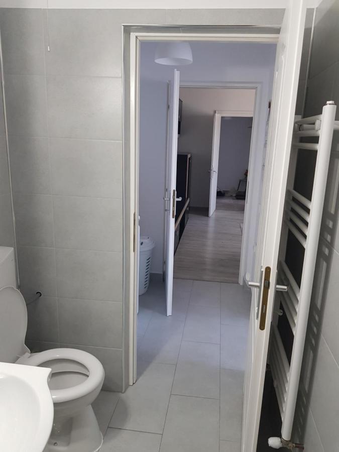 Ana Apartament Râmnicu Vâlcea Zewnętrze zdjęcie