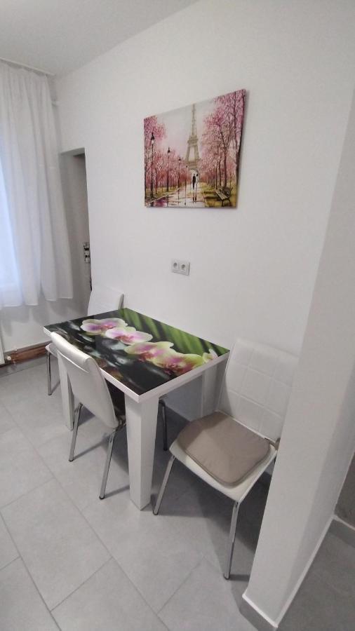 Ana Apartament Râmnicu Vâlcea Zewnętrze zdjęcie
