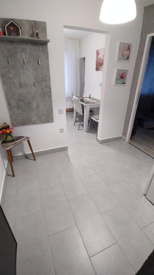 Ana Apartament Râmnicu Vâlcea Zewnętrze zdjęcie