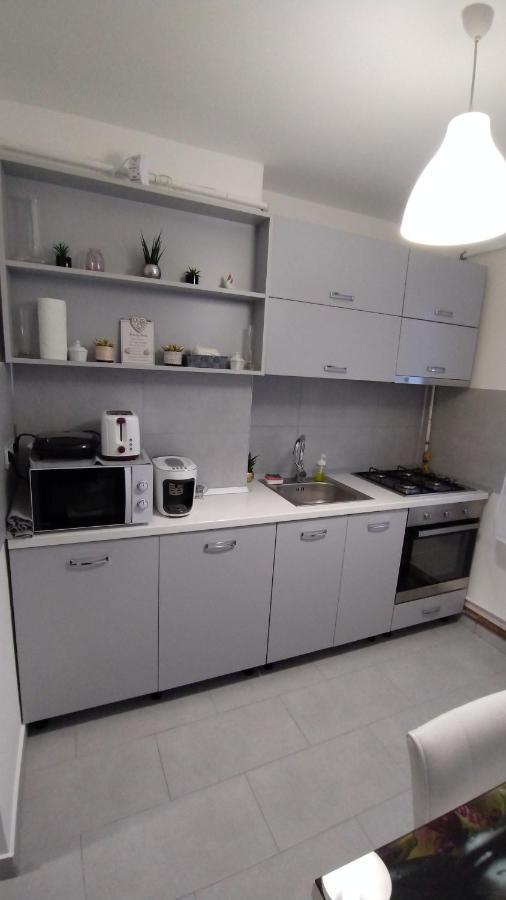 Ana Apartament Râmnicu Vâlcea Zewnętrze zdjęcie